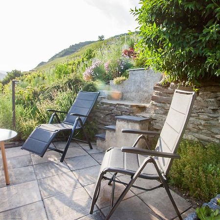 Das Haus In Spay An Der Mosel Mit Sauna Целль-ан-дер-Мозель Экстерьер фото