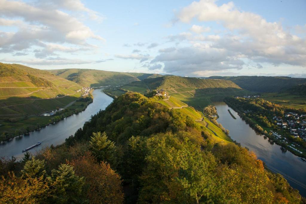 Das Haus In Spay An Der Mosel Mit Sauna Целль-ан-дер-Мозель Экстерьер фото