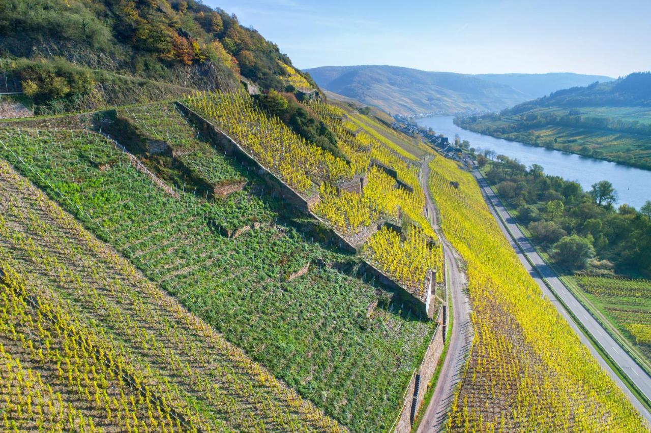 Das Haus In Spay An Der Mosel Mit Sauna Целль-ан-дер-Мозель Экстерьер фото